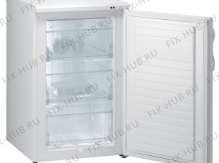 Холодильник Gorenje F4090AW (387655, ZODS1026) - Фото